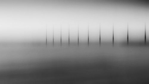 Paaltjes op het strand