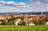 Blick über die Stadt Bamberg in Franken von Animaflora PicsStock Miniaturansicht