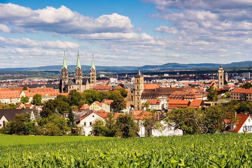 Blick über die Stadt Bamberg in Franken von Animaflora PicsStock