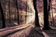 Brandend het licht van Hans Soowijl thumbnail