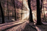 Burning the light