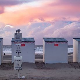 Aan de zee van Slim Shadow