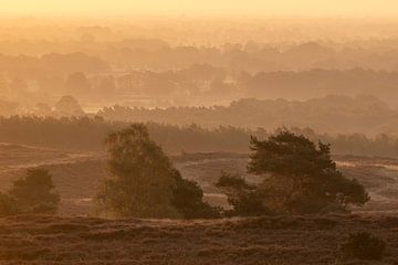 Vue de l'Archemerberg sur Karla Leeftink