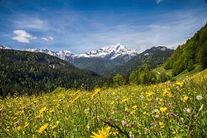 Alpspitze