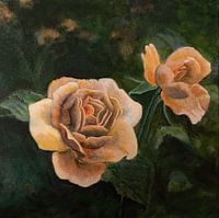 Jardin de roses