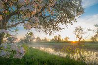 Work on the Groeneweg during sunrise