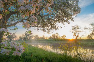 Werk aan de Groeneweg tijdens zonsopkomst