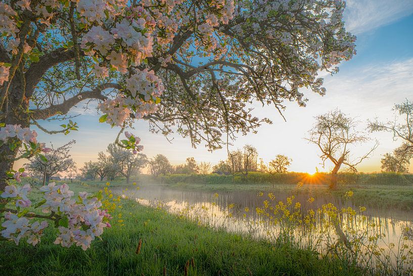Work on the Groeneweg during sunrise by Denise Nijs-Meerdink