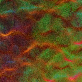 Bloomkins 03 von Nelson Guerreiro