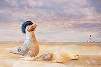 Meeuw op het strand