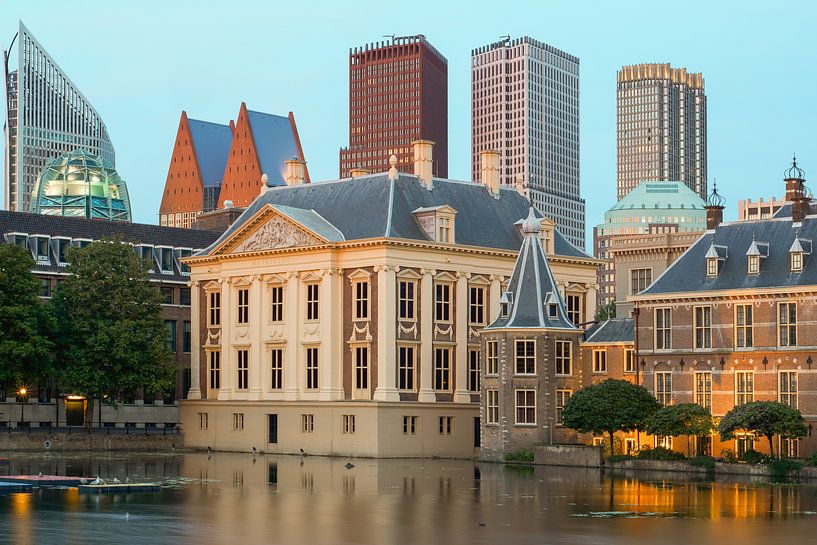 Mauritshuis en het Binnenhof van Jeroen Kleiberg