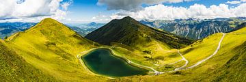 Riezler Alpsee van Walter G. Allgöwer