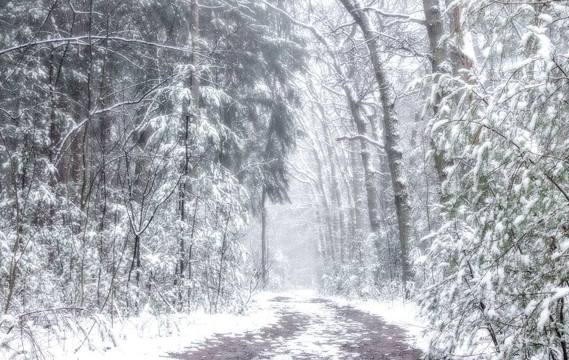 Winter Wonderland van Connie de Graaf