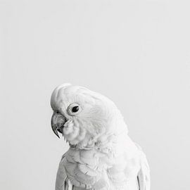 Cockatoo in black and white by Poster Art Shop