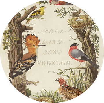 Kaft van Nederlandsche Vogelen, deel 3, Cornelis Nozeman van Teylers Museum