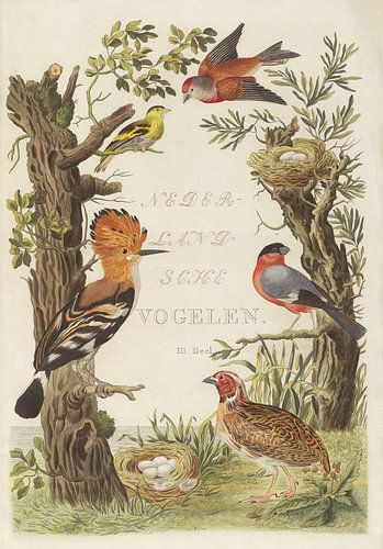 Kaft van Nederlandsche Vogelen, deel 3, Cornelis Nozeman