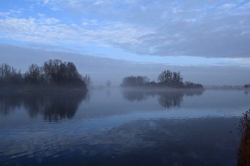 Blue Misty Morning