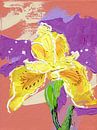 Gele lis | Iris Psuedacorus, FreeStyle van ART Eva Maria thumbnail