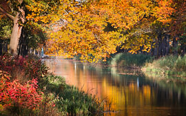 Herbstglanz am Wasser – Eerbeek von Saranda in t Veld Fotografie