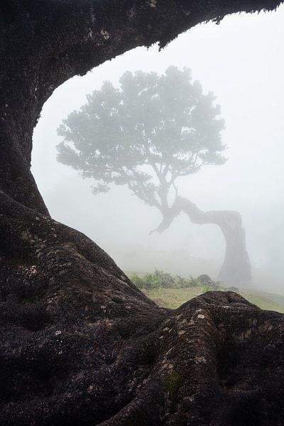 Sterbender Fanal von Martin Podt