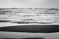 Tide on the beach