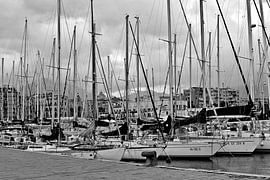 Magnificent marina on the cala of Palermo