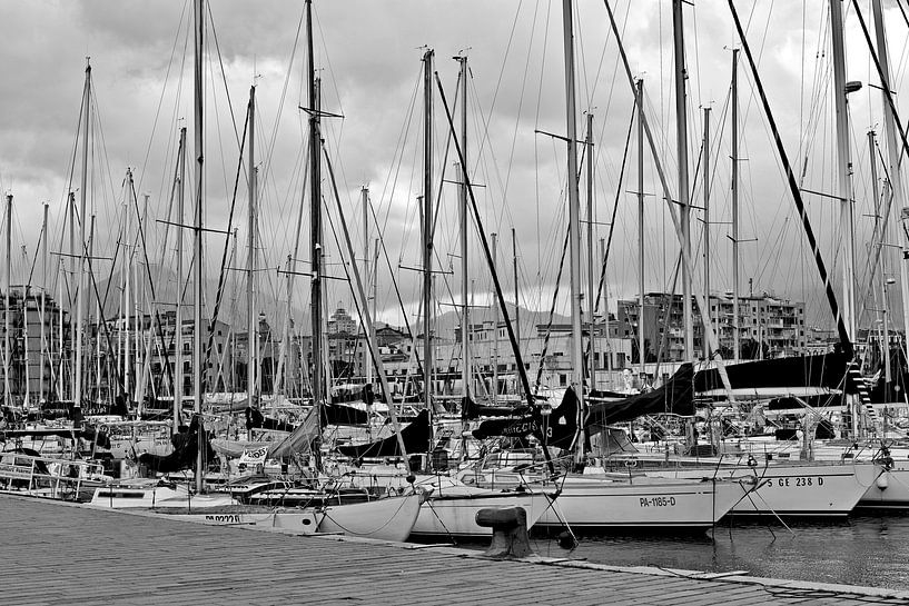 Magnificent marina on the cala of Palermo by Silva Wischeropp