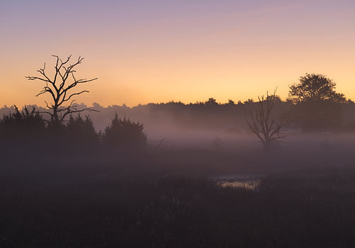 Sunrise at Dwingelderveld (Netherlands)