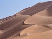 Woestijn van Joanne de Graaff thumbnail