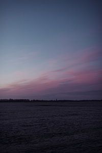 Vrieskou in een winter landschap in Friesland van Holly Klein Oonk