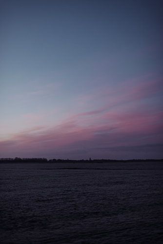 Vrieskou in een winter landschap in Friesland