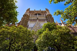 Kathedraal van Sevilla van Peter Brands