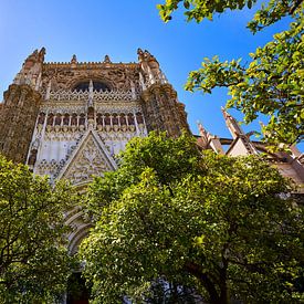 Kathedrale von Sevilla von Peter Brands