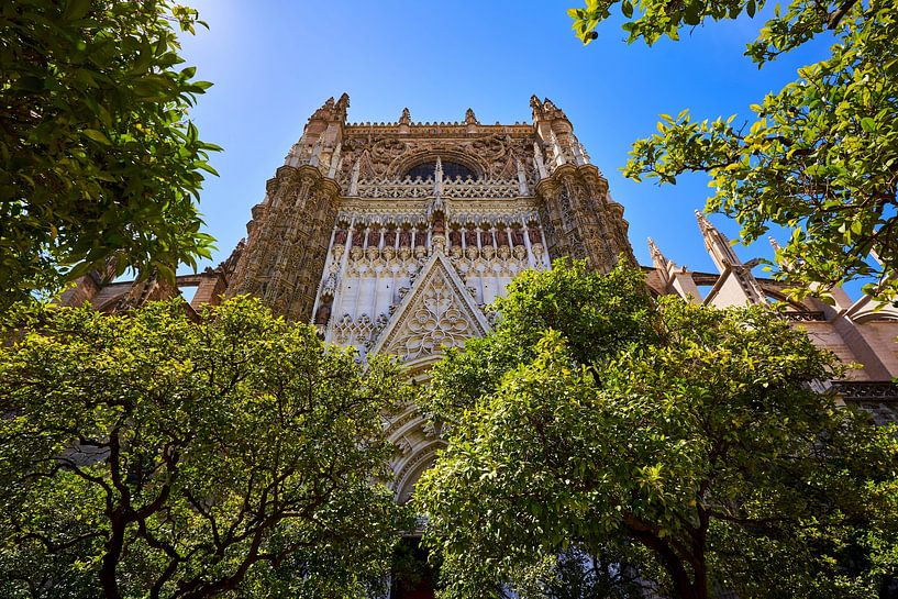 Kathedrale von Sevilla von Peter Brands