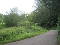 Bovenop de bult