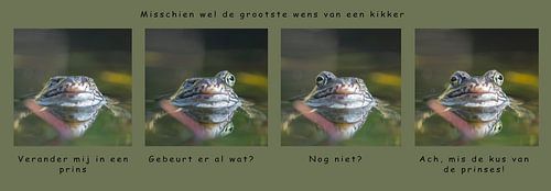 De grootste  wens van een kikker
