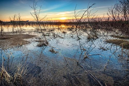 Landscape of flood plain And Sky with sunset on background