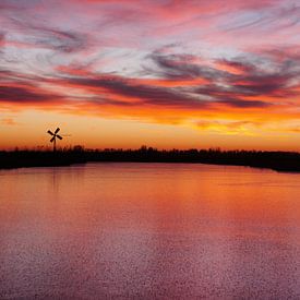 Der Himmel brennt! von Nicolette Schuur