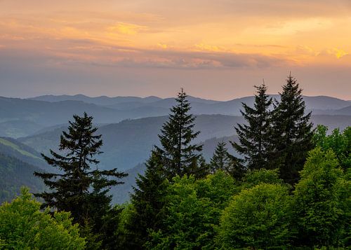 Uitzicht over het Zwarte Woud in Baden-Württemberg