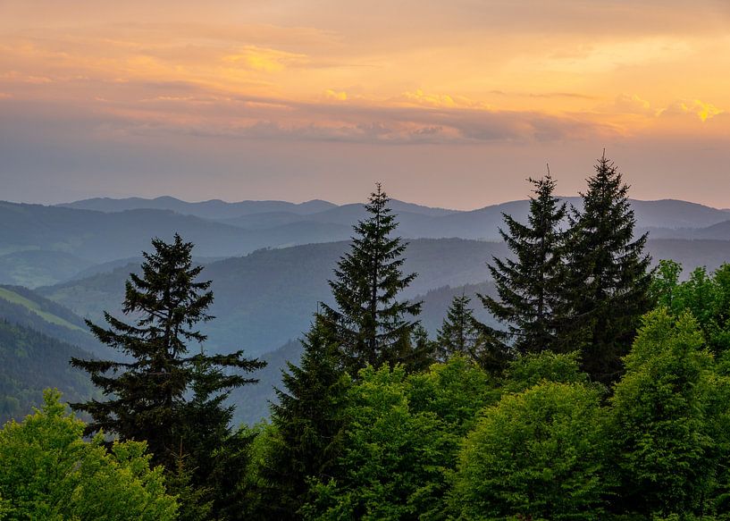 Vue sur la Forêt-Noire dans le Bade-Wurtemberg par Animaflora PicsStock