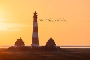 Vogelzug am Leuchtturm Westerhever