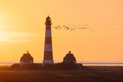 Bird migration at Westerhever lighthouse