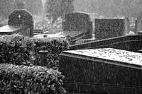 Novembermood rain in the graveyard
