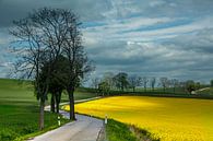 Landschaft im Erzgebirge von Johnny Flash Miniaturansicht