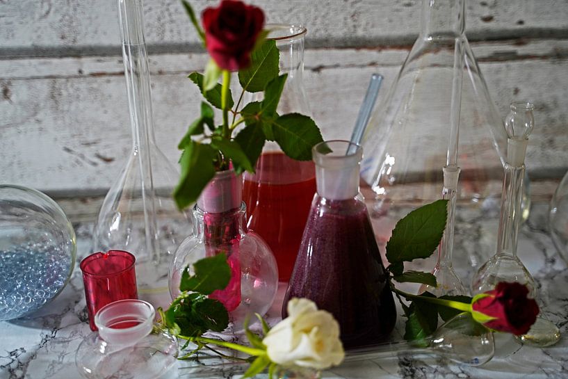 Sekt mit Holunderlikör. von Babetts Bildergalerie