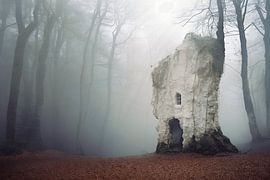 Perdus dans le silence : les bâtiments anciens de la Forêt-Noire sur Karina Brouwer