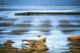 winterse waddenzee von Sylvia Hoekzema