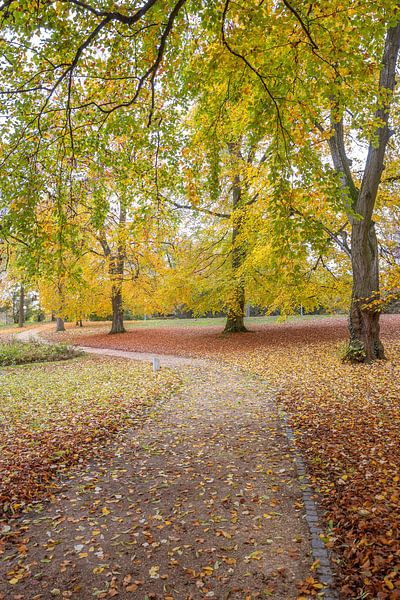 KONZEPT HERBST : HERBSTLICHE STIMMUNG FRIEDRICHSAU - ULM von Photoart-Naegele