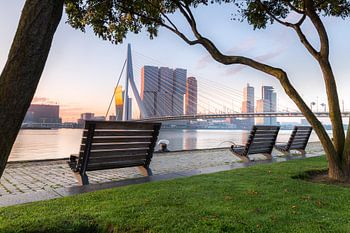 Matin brumeux à la Meuse