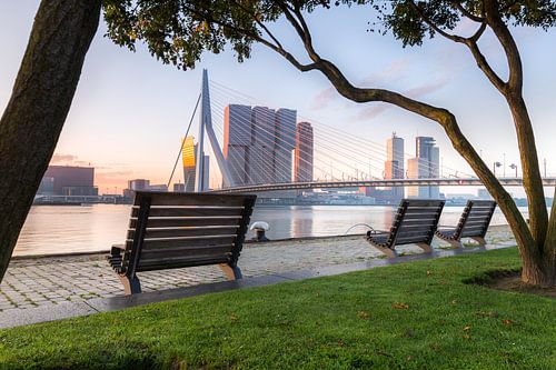 Nebliger Morgen an der Maas